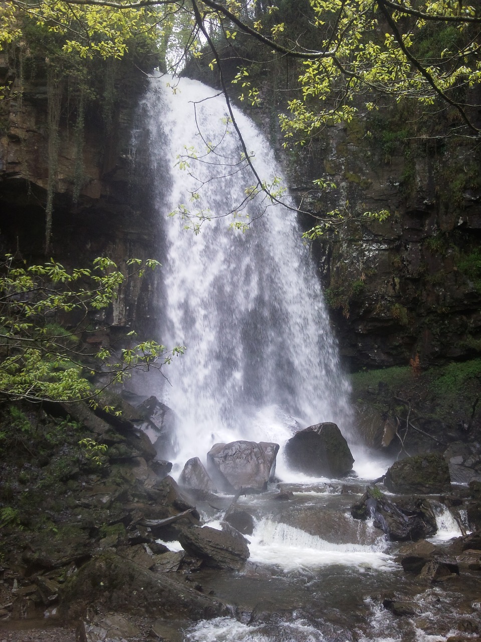 nature waterfall wales free photo