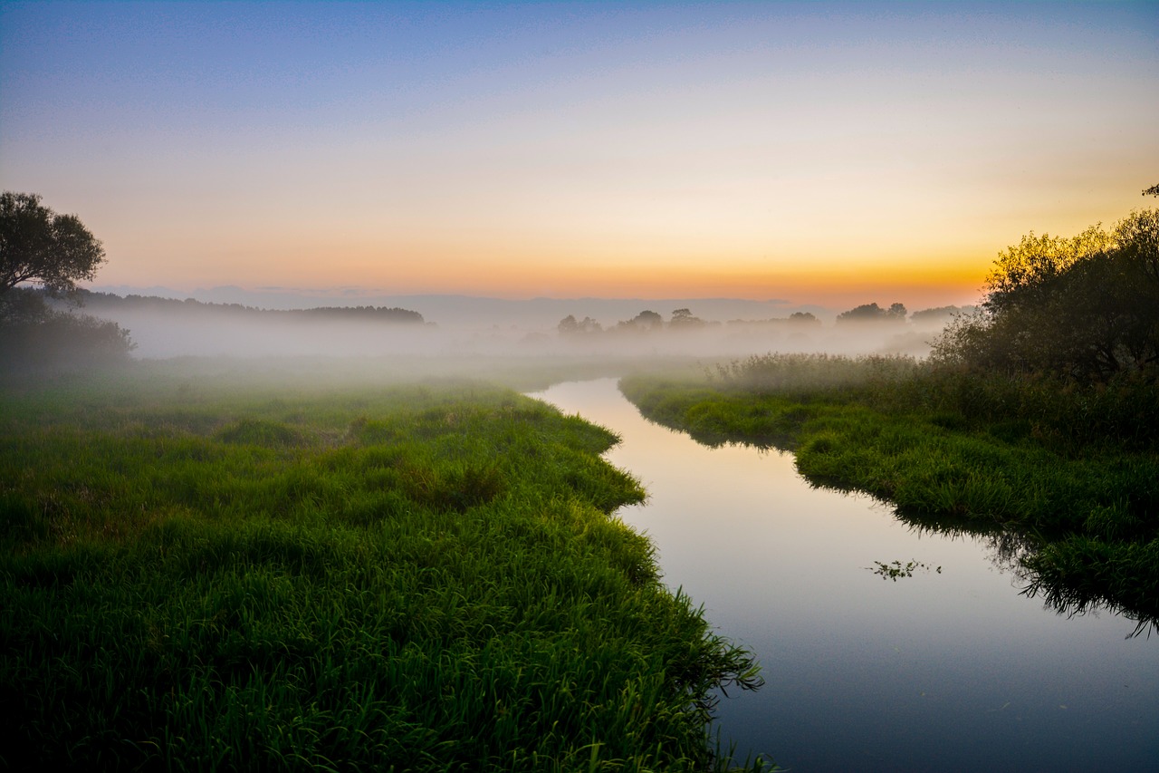 nature river behind free photo