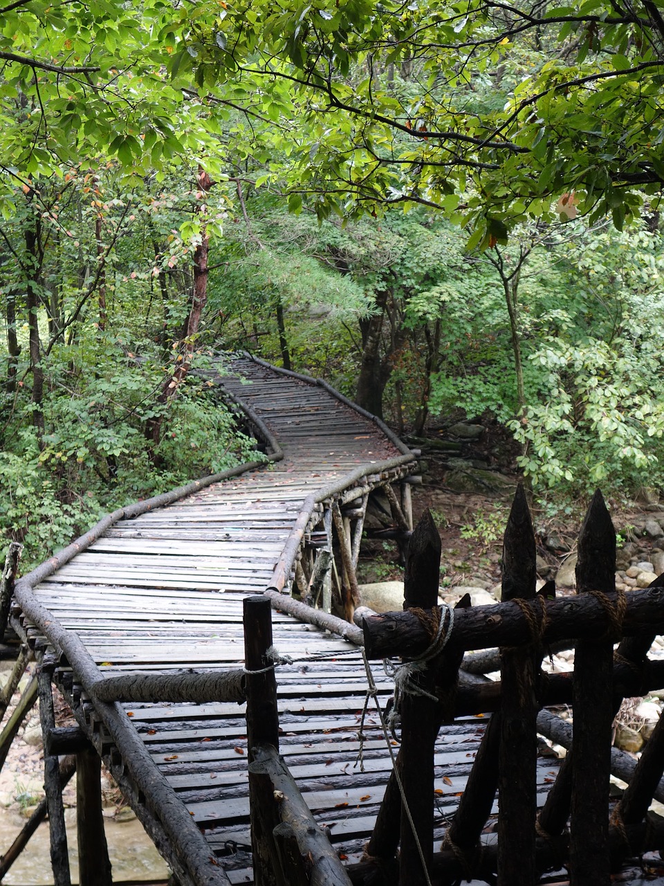 nature mungyeong saejae republic of korea free photo