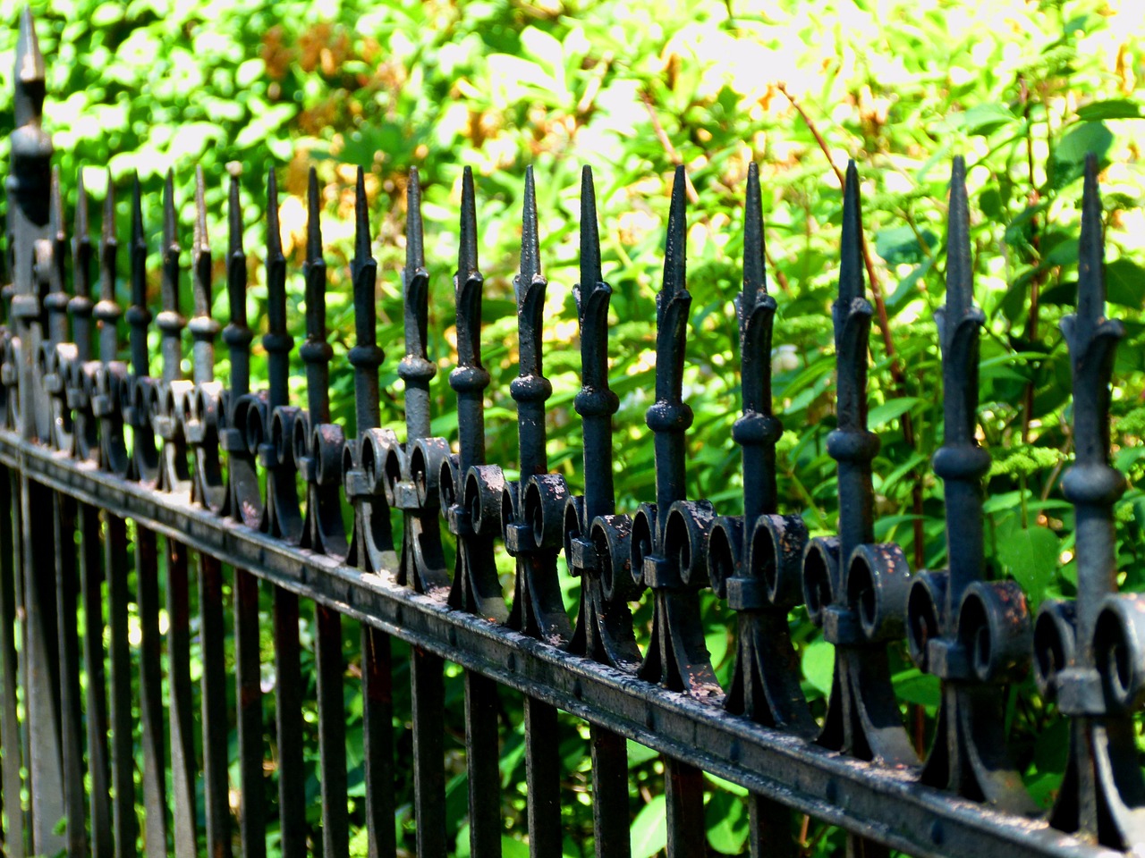 nature fence mood free photo