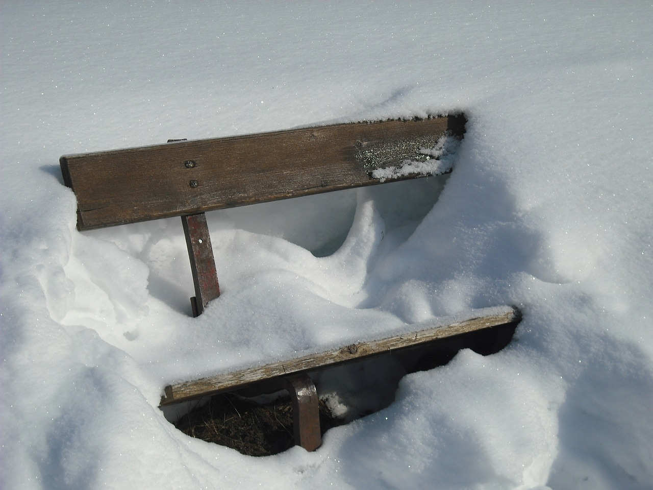 nature bench snow free photo