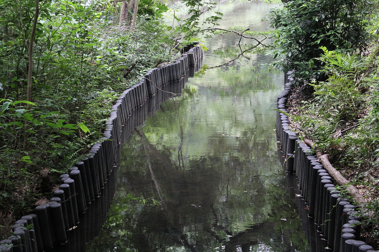 nature water river free photo