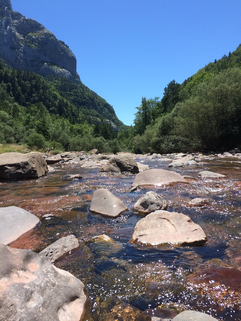 nature path water free photo