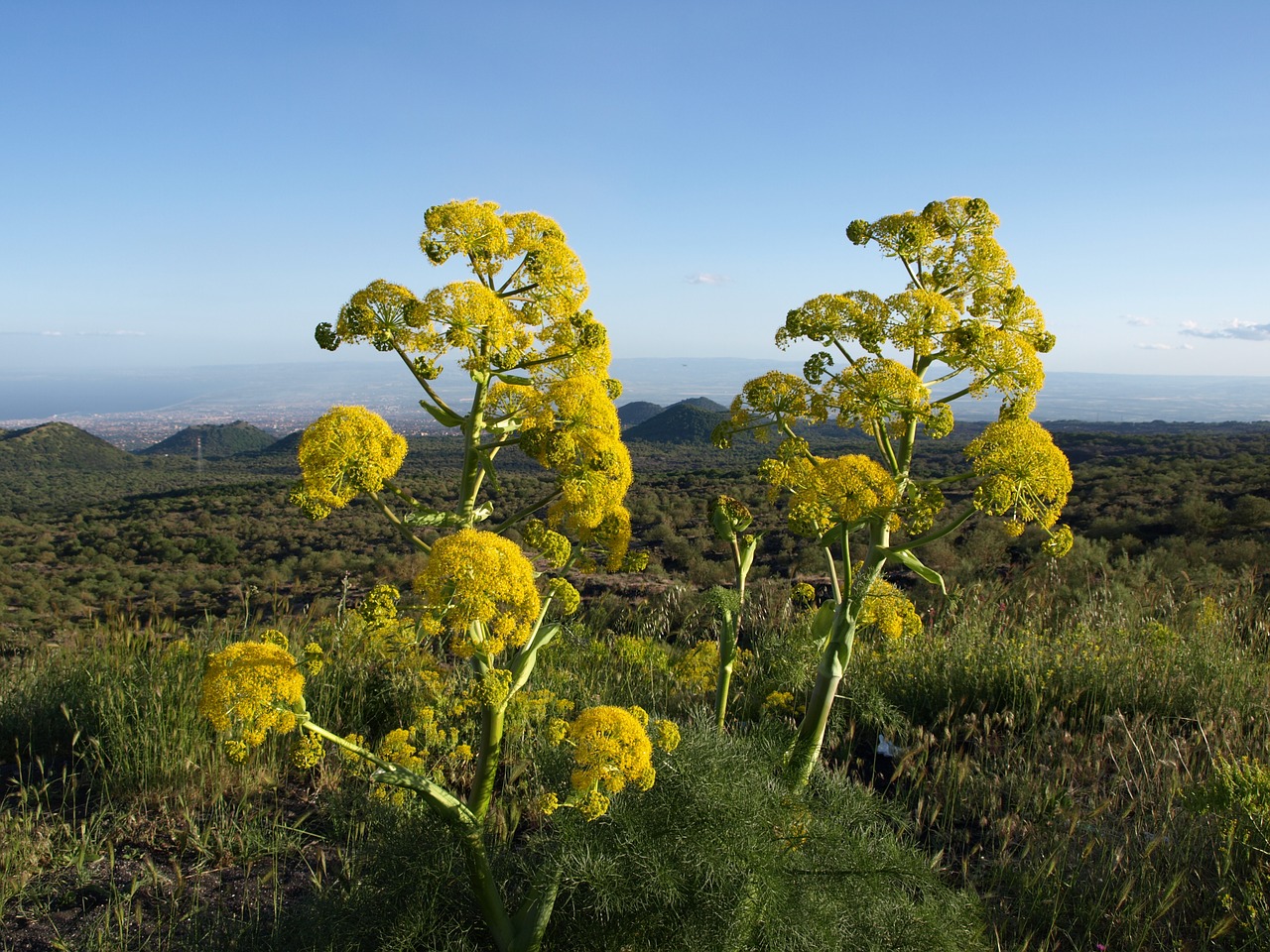 nature etna sicily free photo