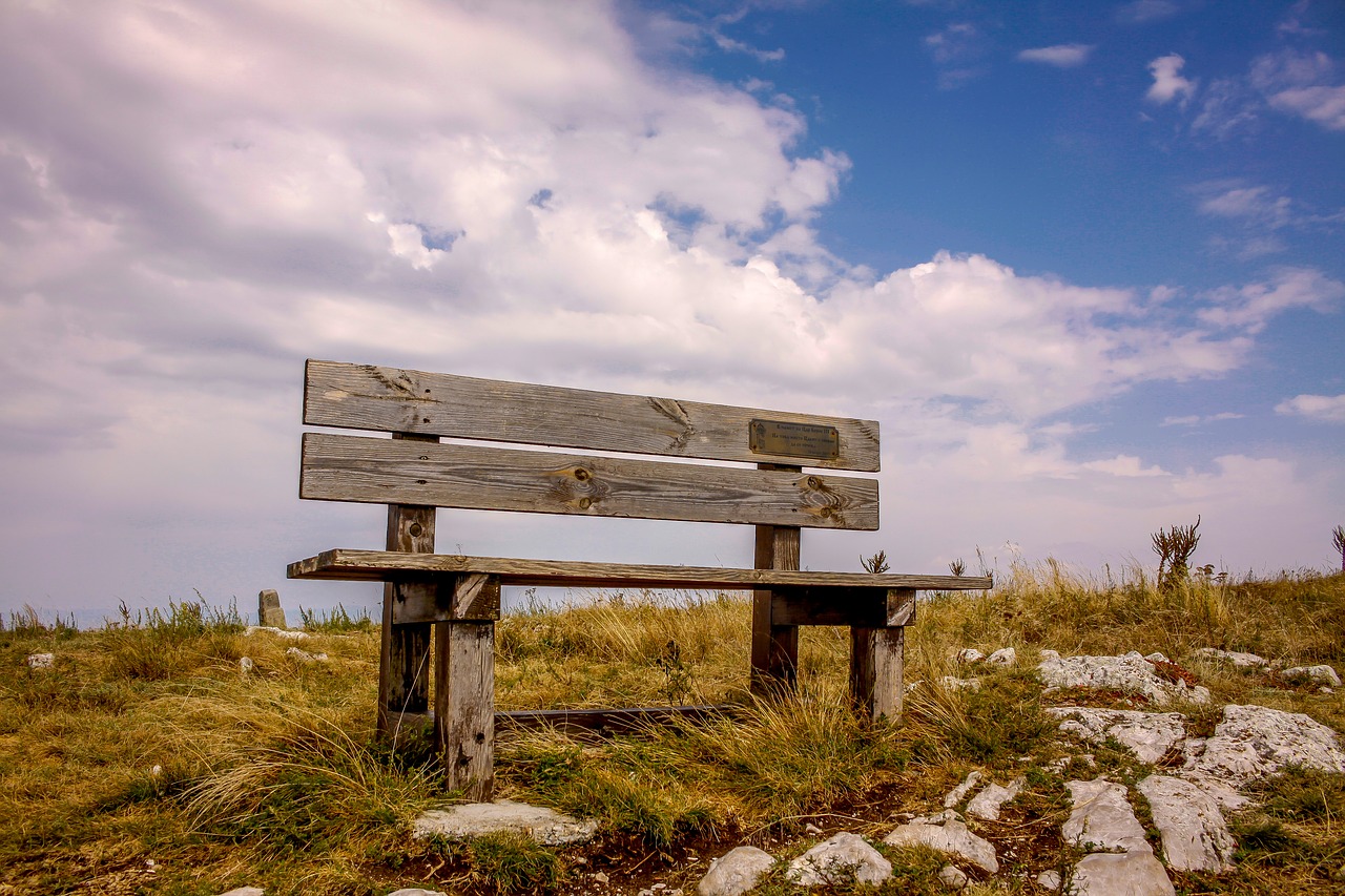 nature bench sky free photo