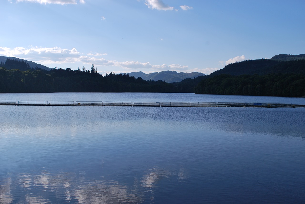 nature scotland loch lomond free photo