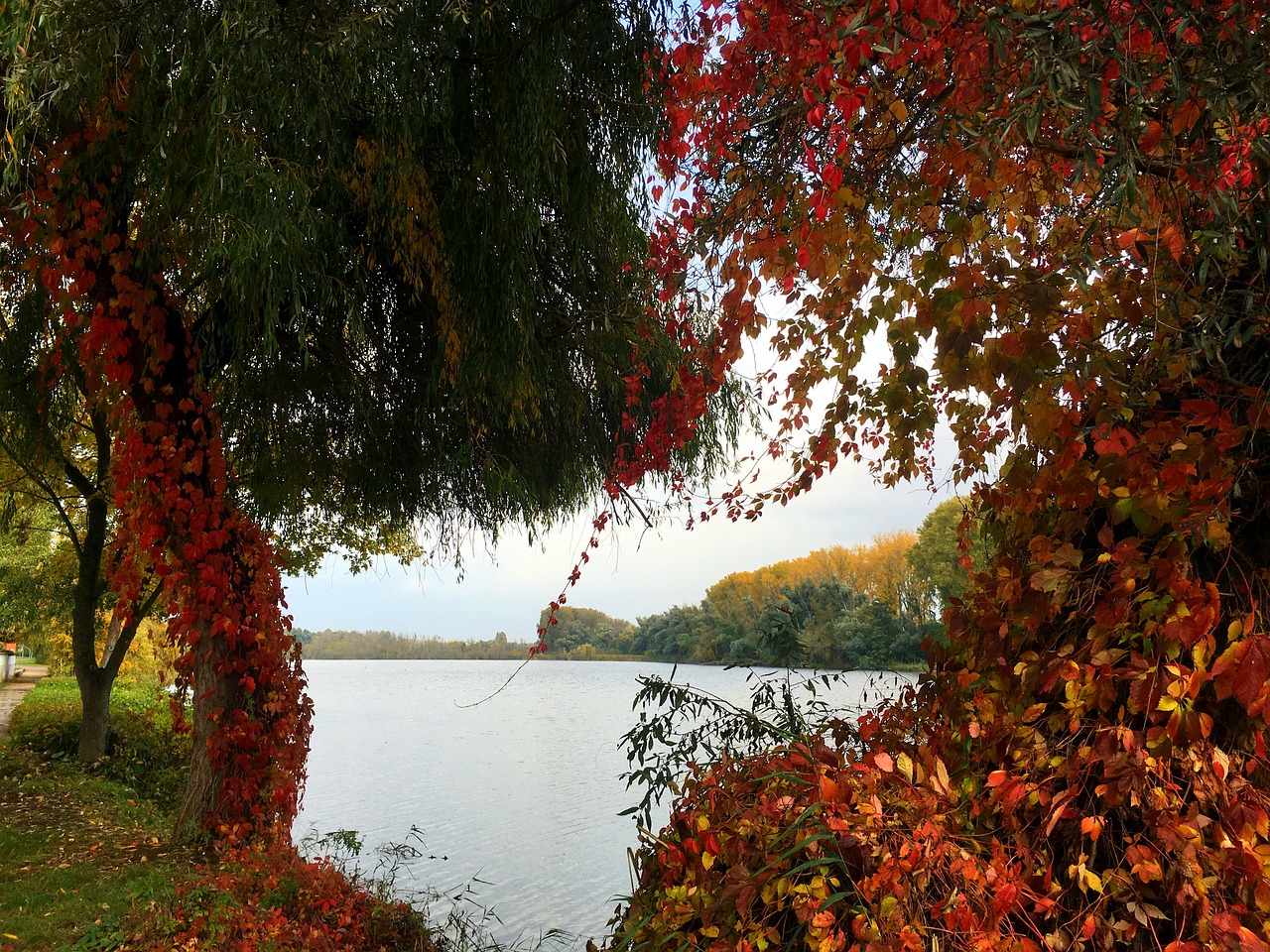 nature landscape autumn free photo