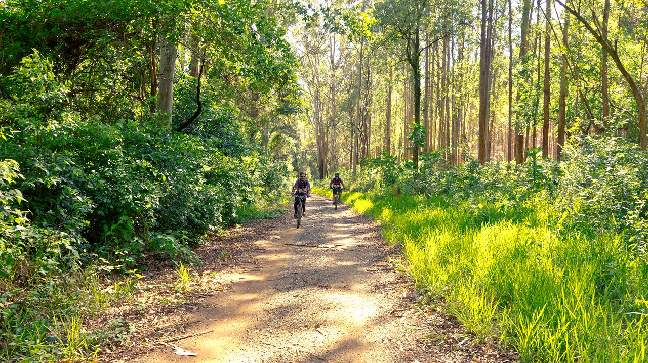 nature cyclists bike free photo