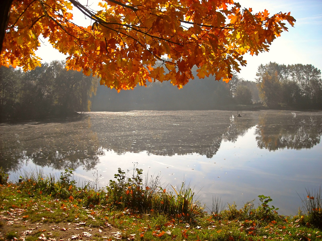 nature autumn landscape free photo