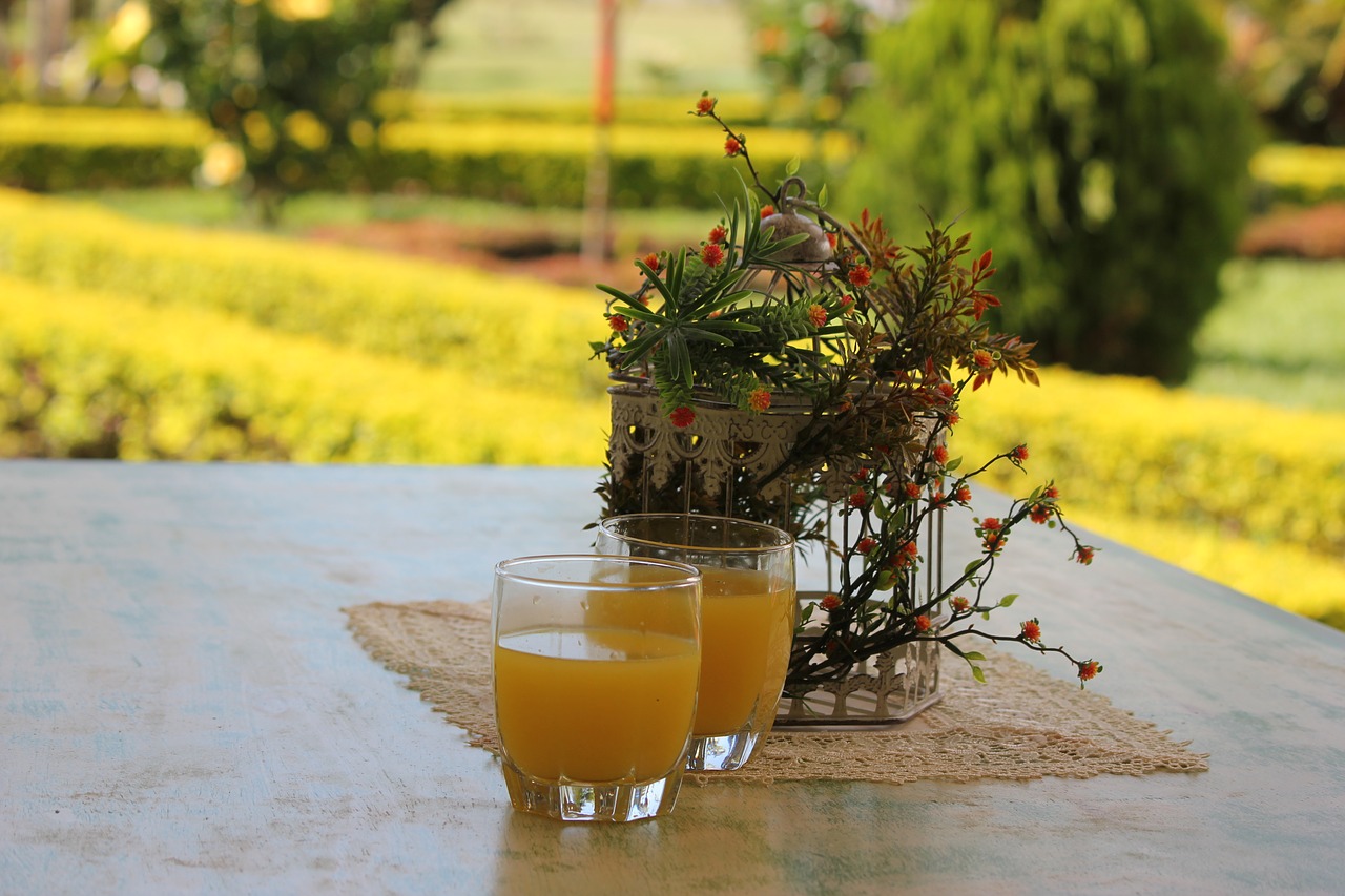 nature orange breakfast free photo