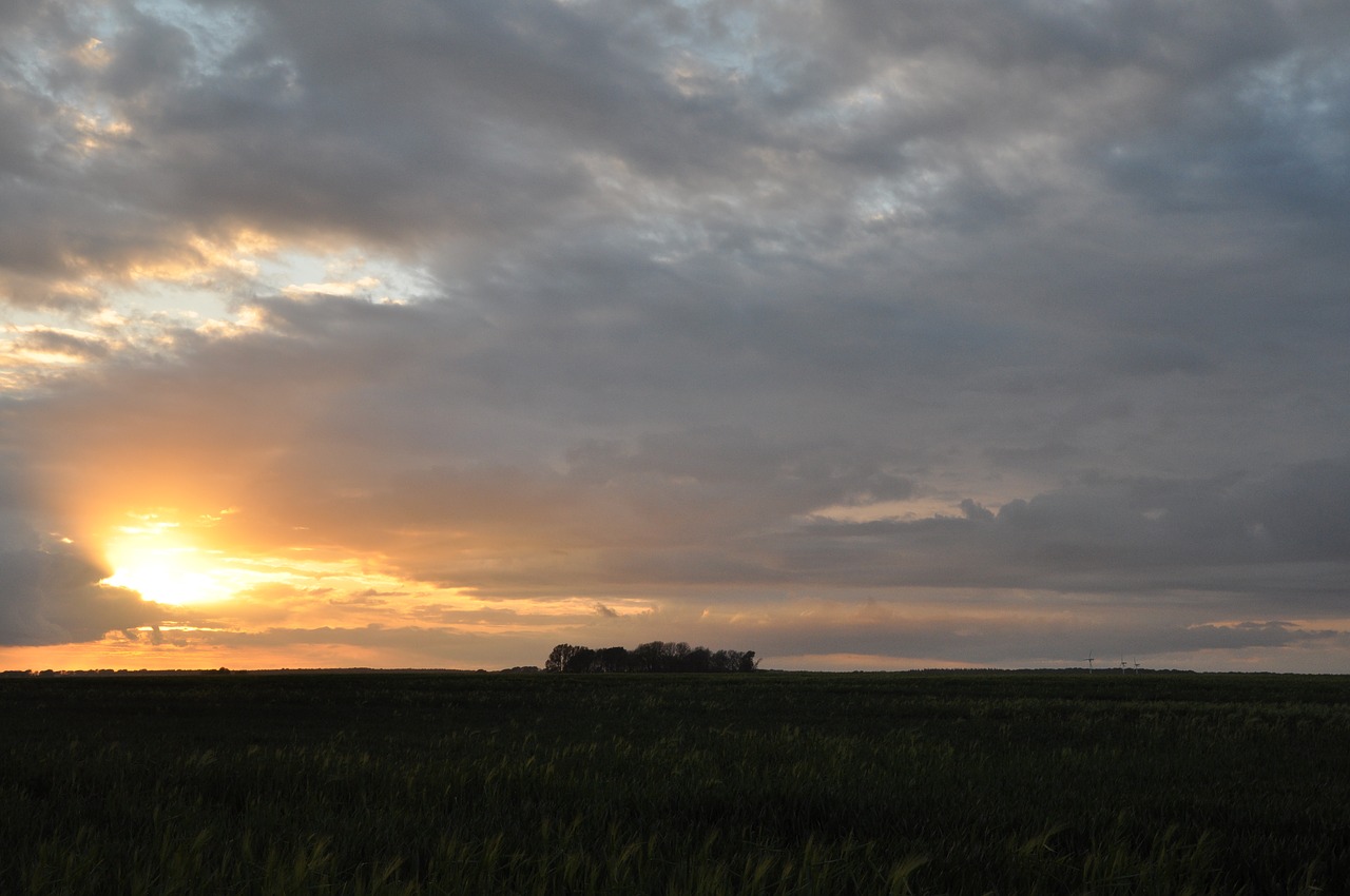 nature abendstimmung sunset free photo