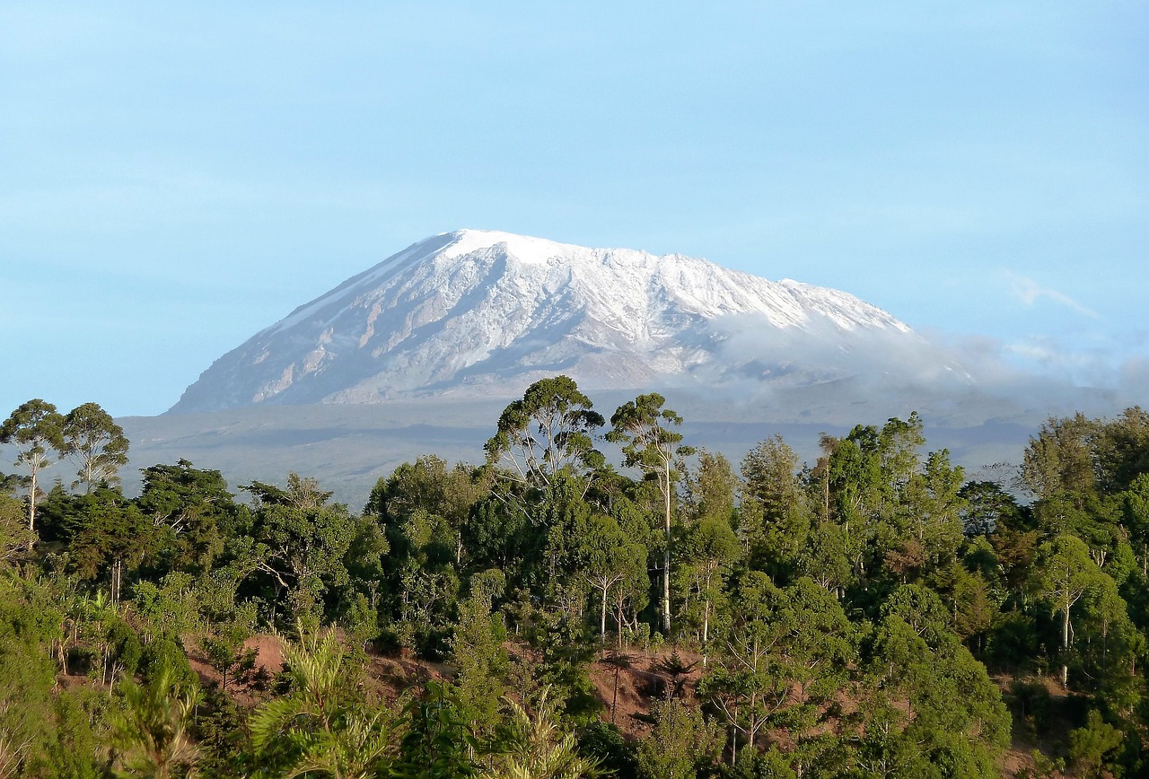 nature kilimanjaro mountain free photo