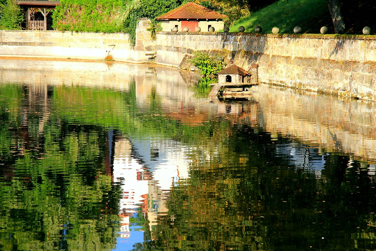 nature water perspective free photo