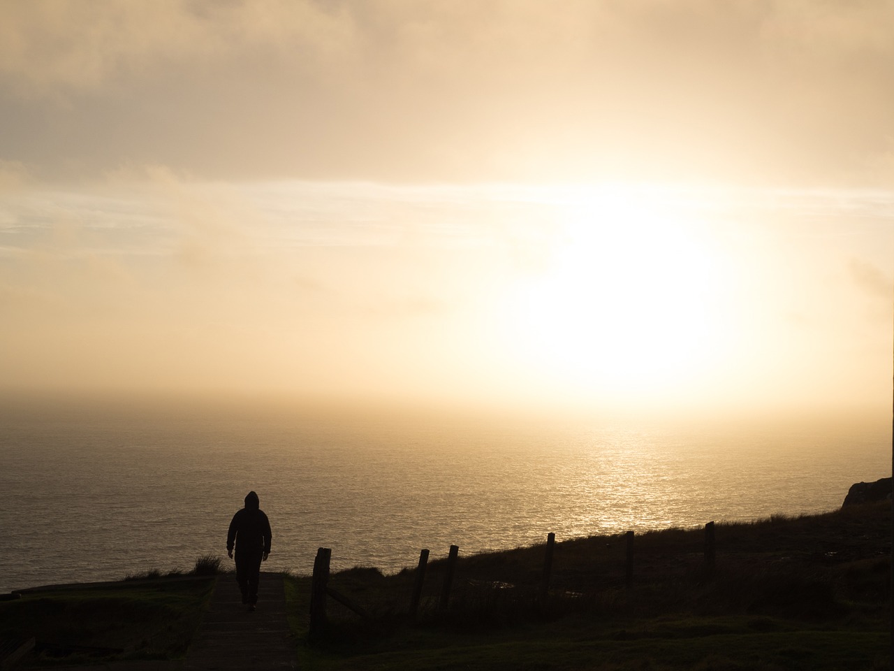 nature sunset golden free photo