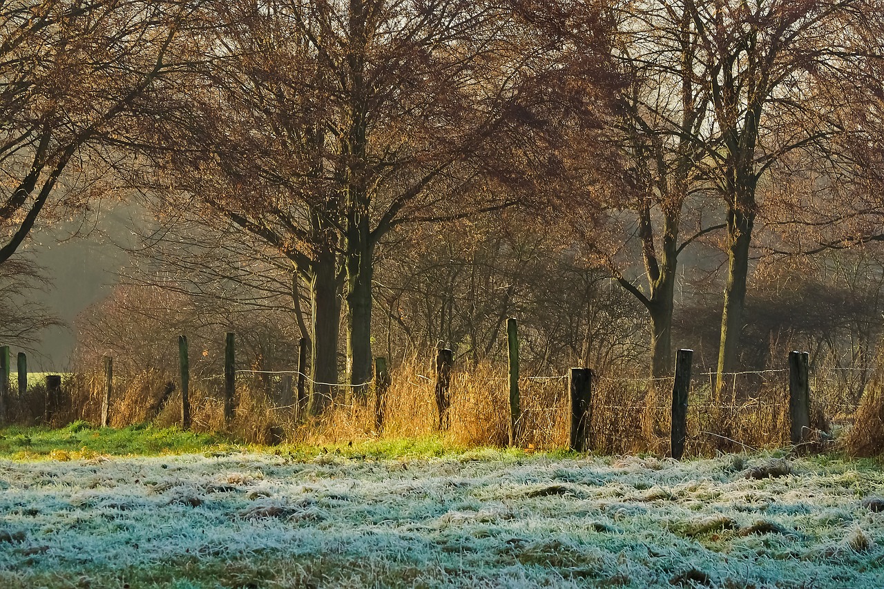 nature landscape fence free photo