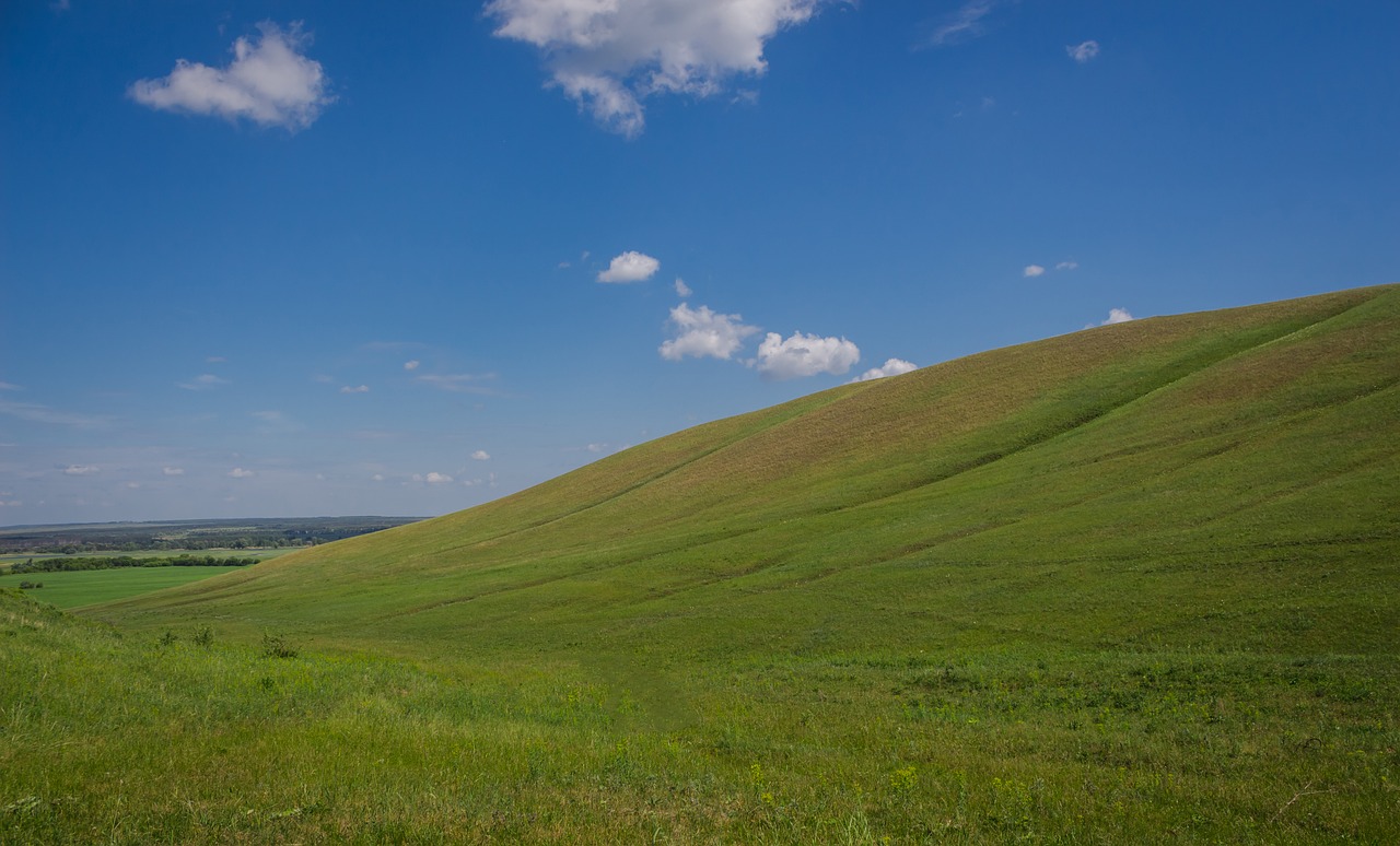 nature horizon peyzad free photo