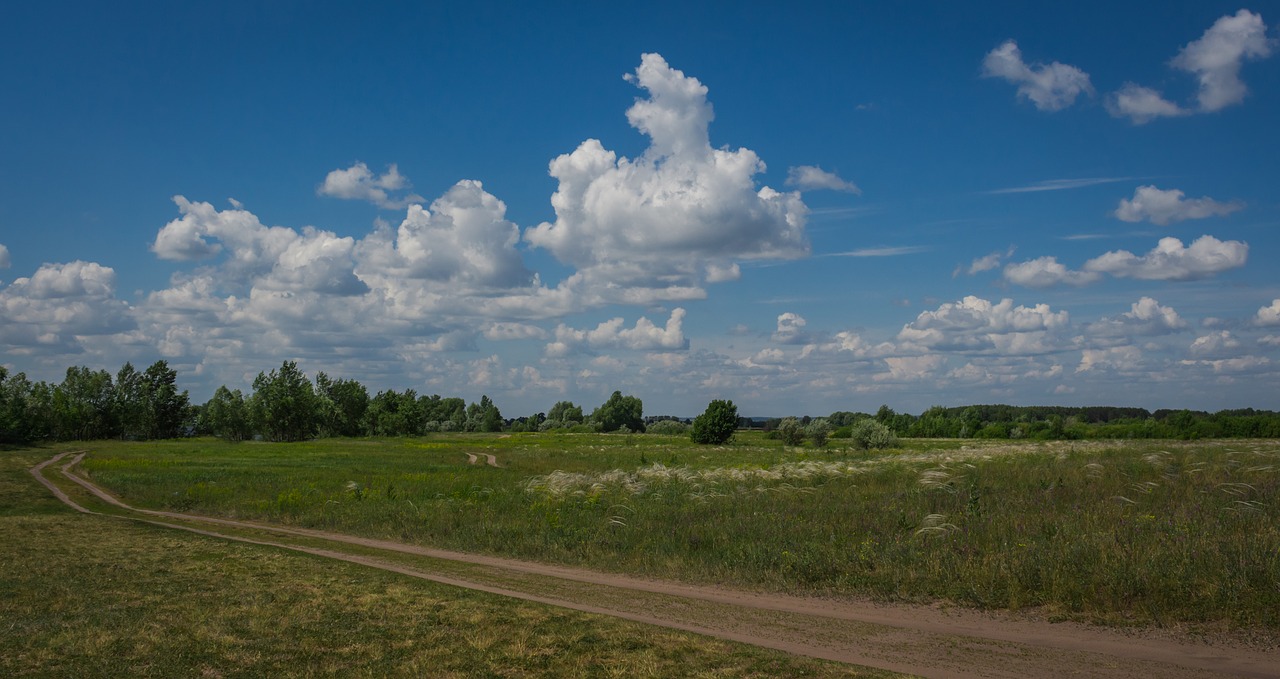 nature horizon peyzad free photo