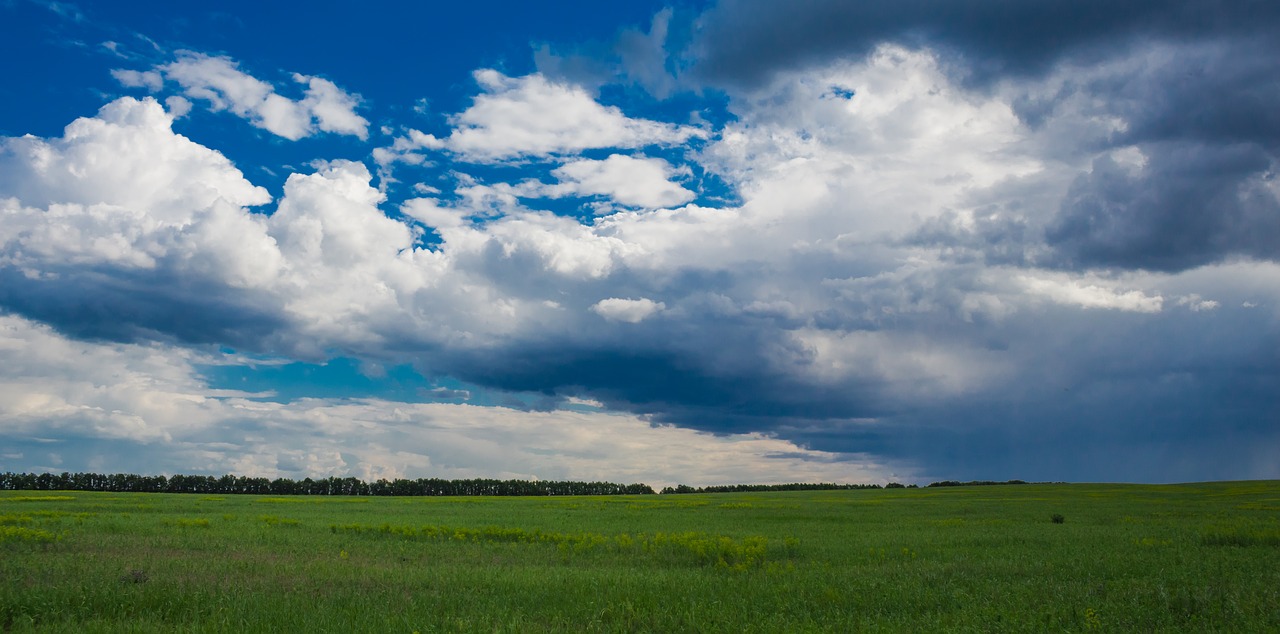 nature horizon landscape free photo