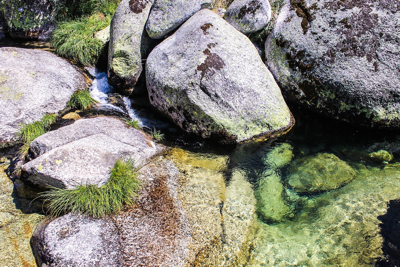 nature agua rio free photo