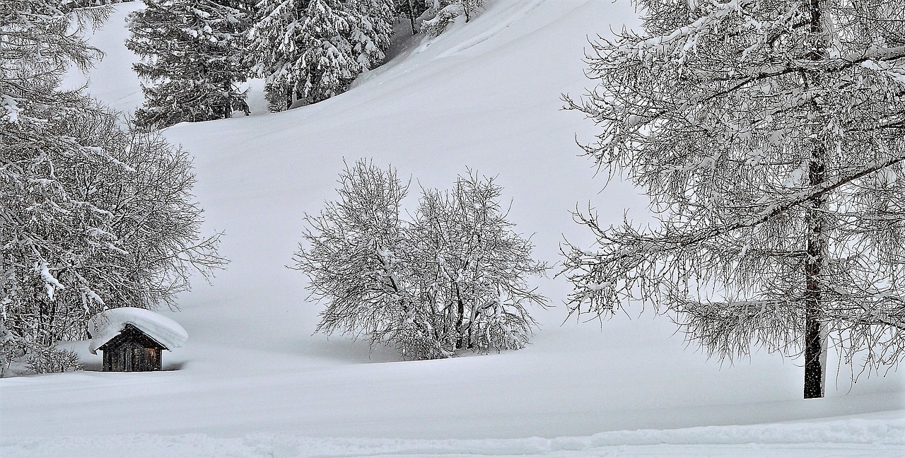 nature landscape snow free photo