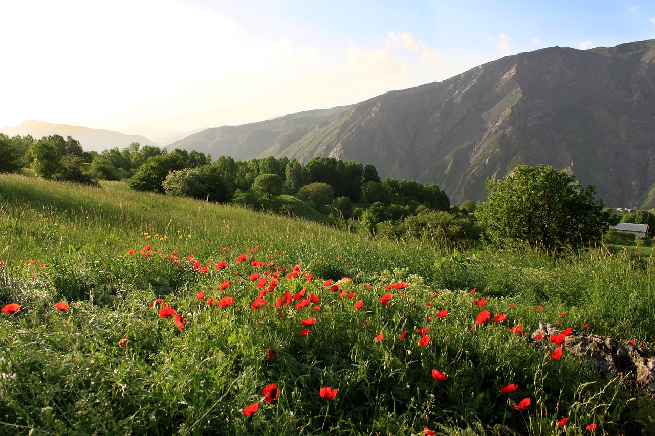 nature landscape mountain free photo