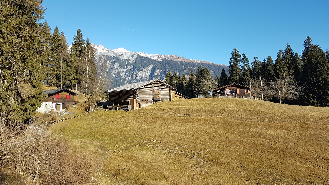 nature idyll alpine hut free photo