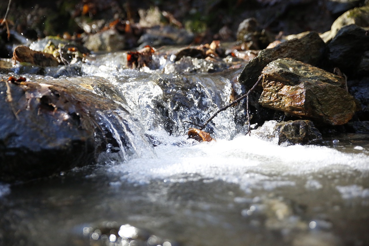 nature river stream free photo