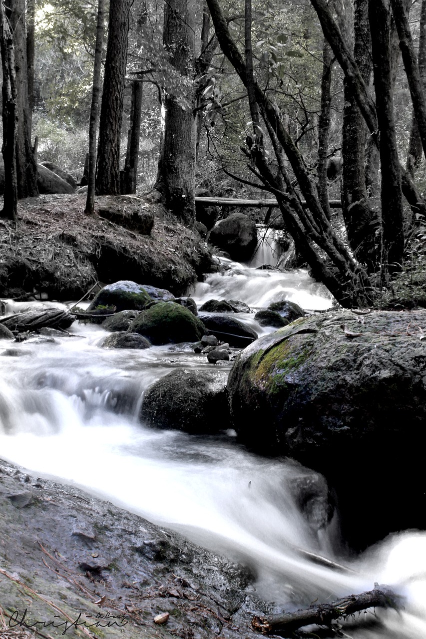 nature water waterfall free photo