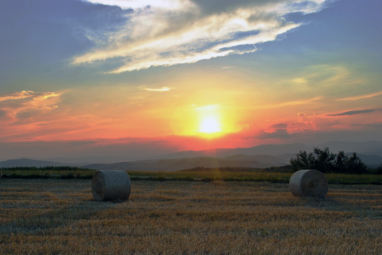 nature bale hay free photo