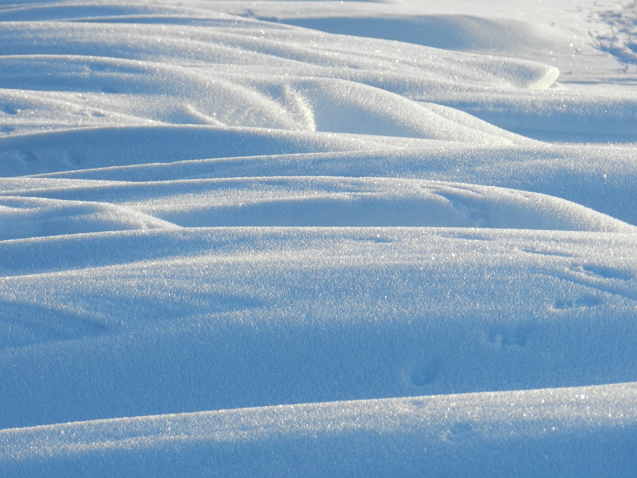 nature snow winter free photo