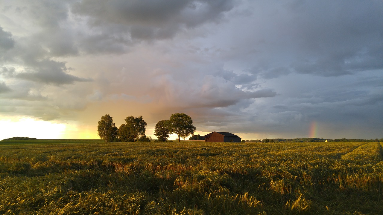 nature field barn free photo