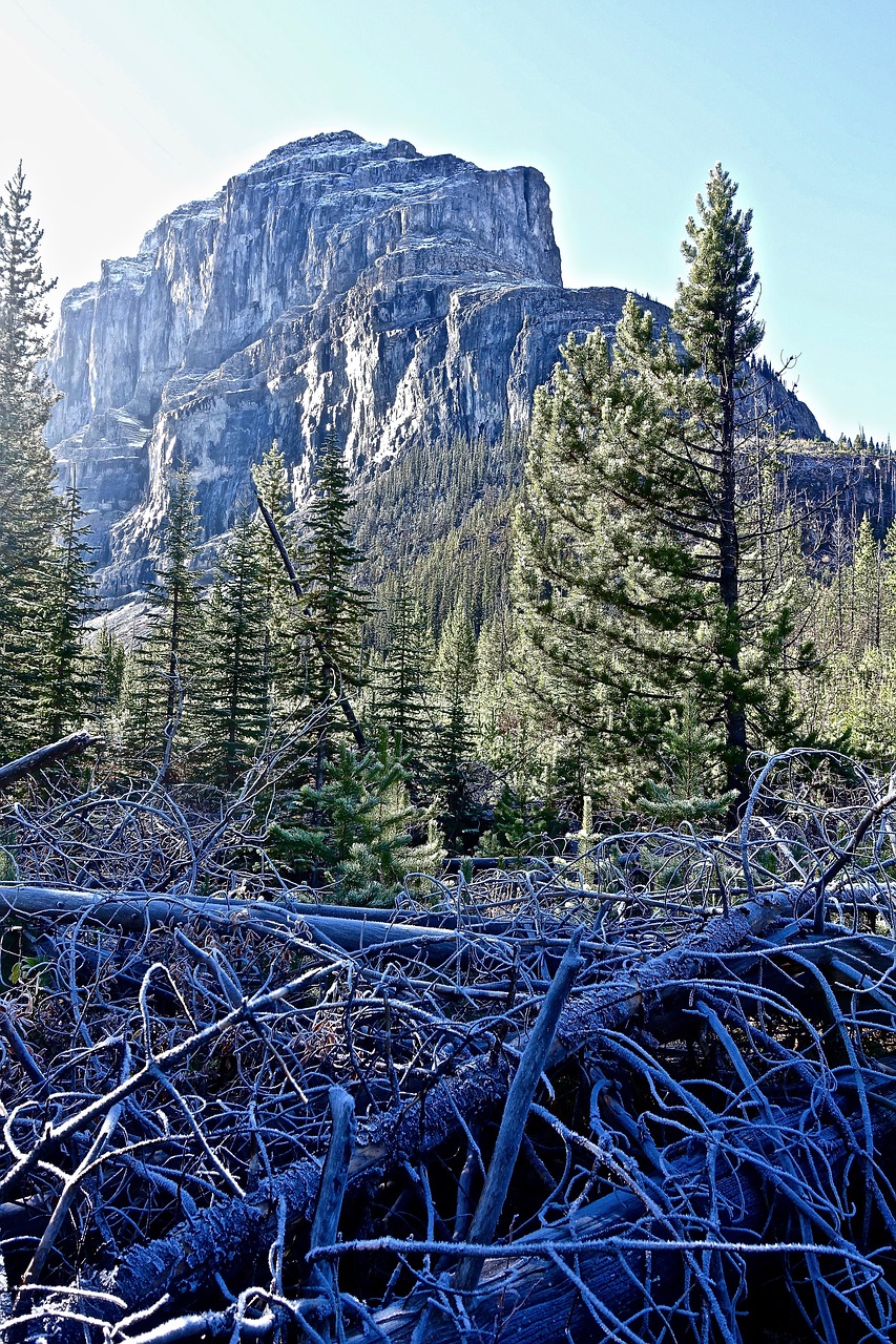 nature wilderness peak free photo