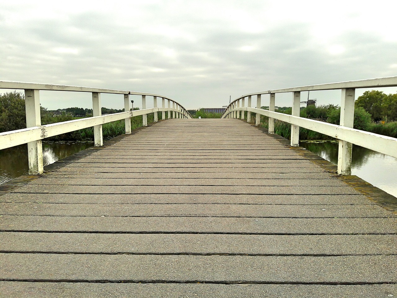 nature water bridge free photo