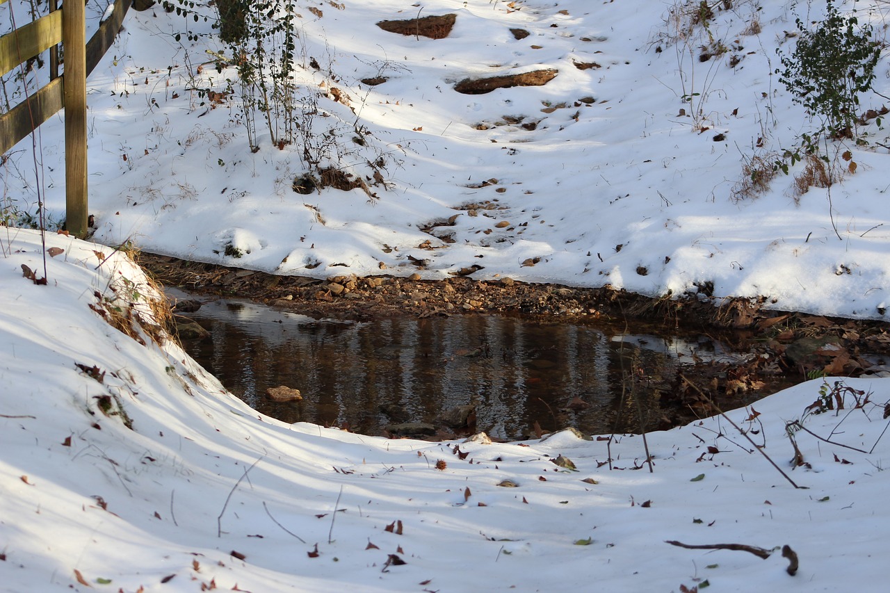 nature stream water free photo