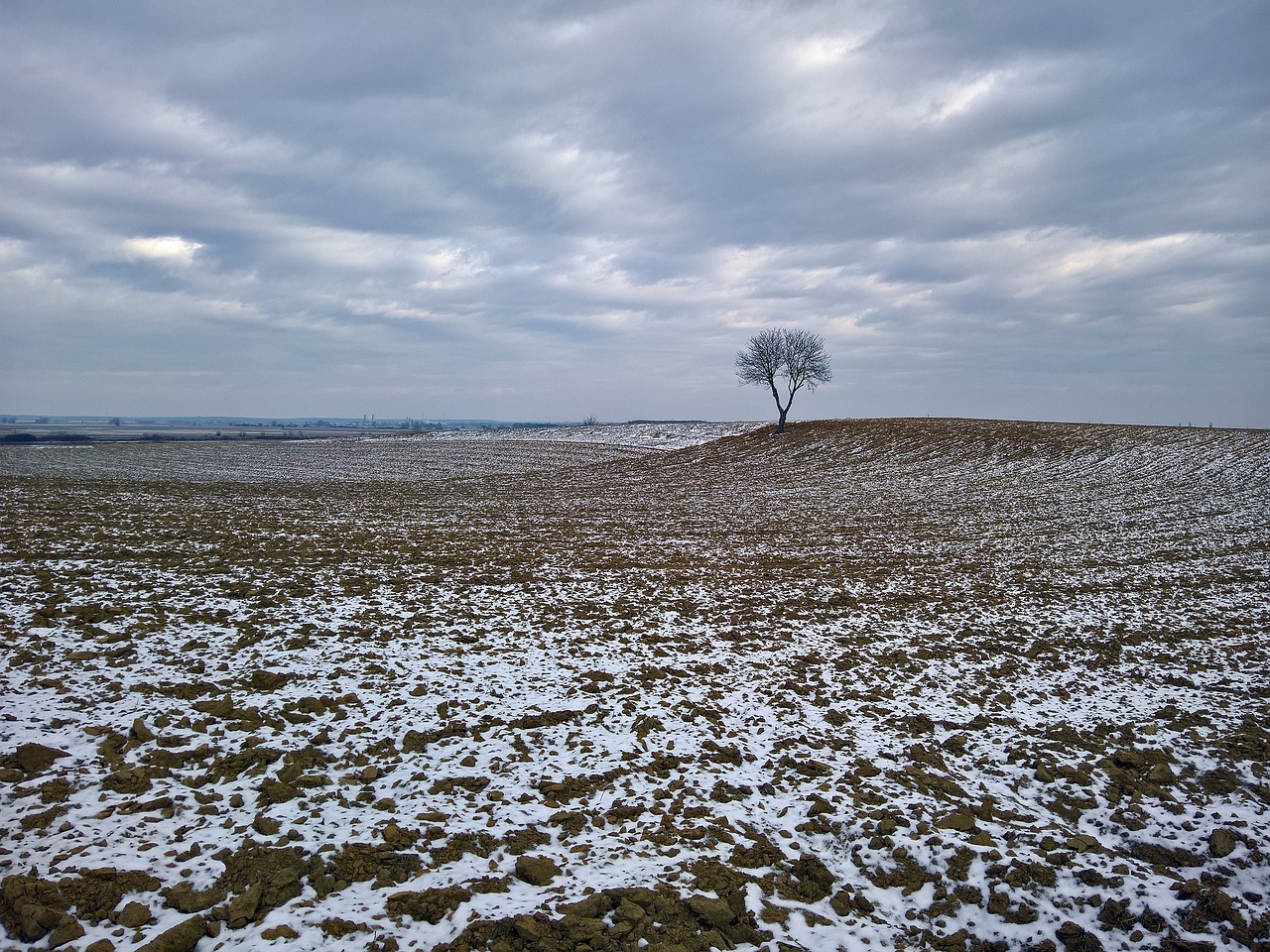 nature winter field free photo