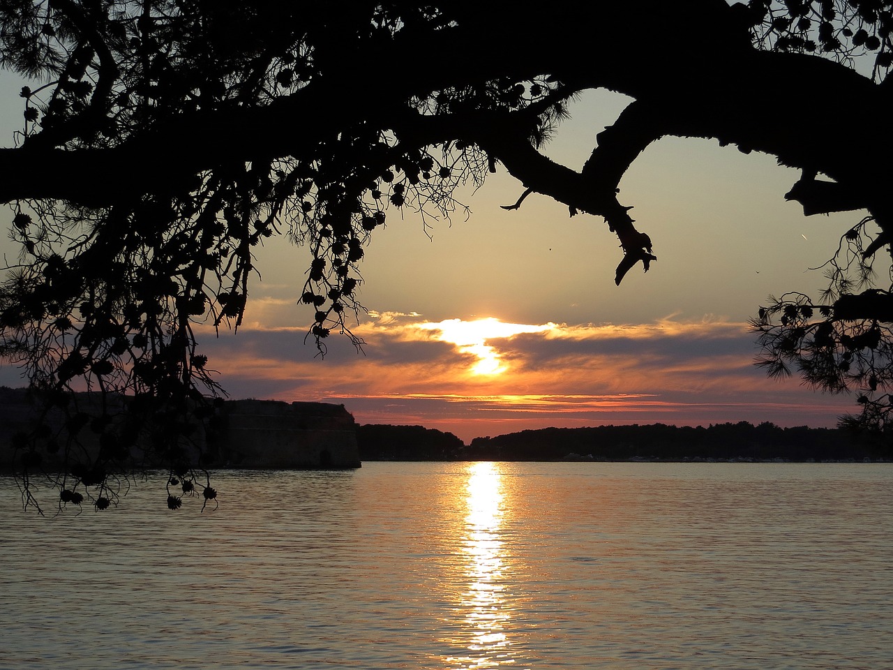 nature summer croatia free photo