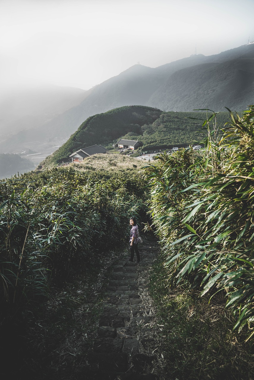 nature chinese taiwan free photo