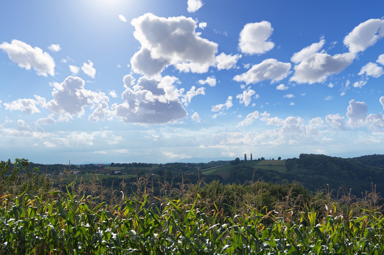 nature sun sky free photo