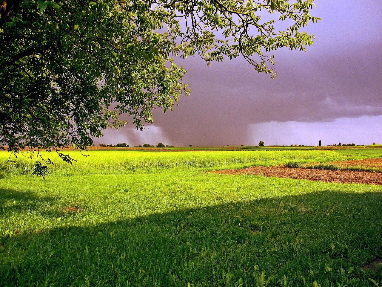 nature rain clouds free photo