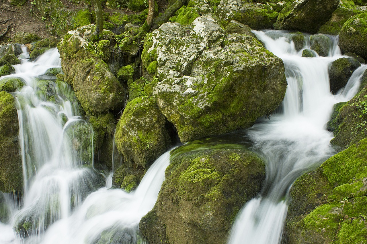 nature water landscape free photo