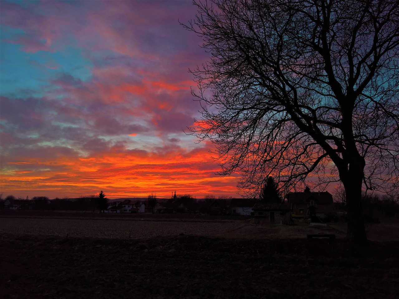 nature sunset sky free photo