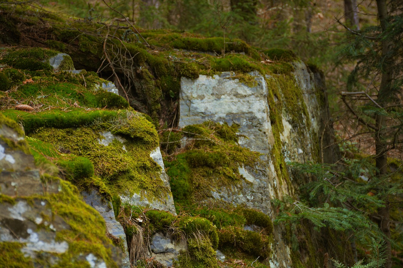 nature rock landscape free photo