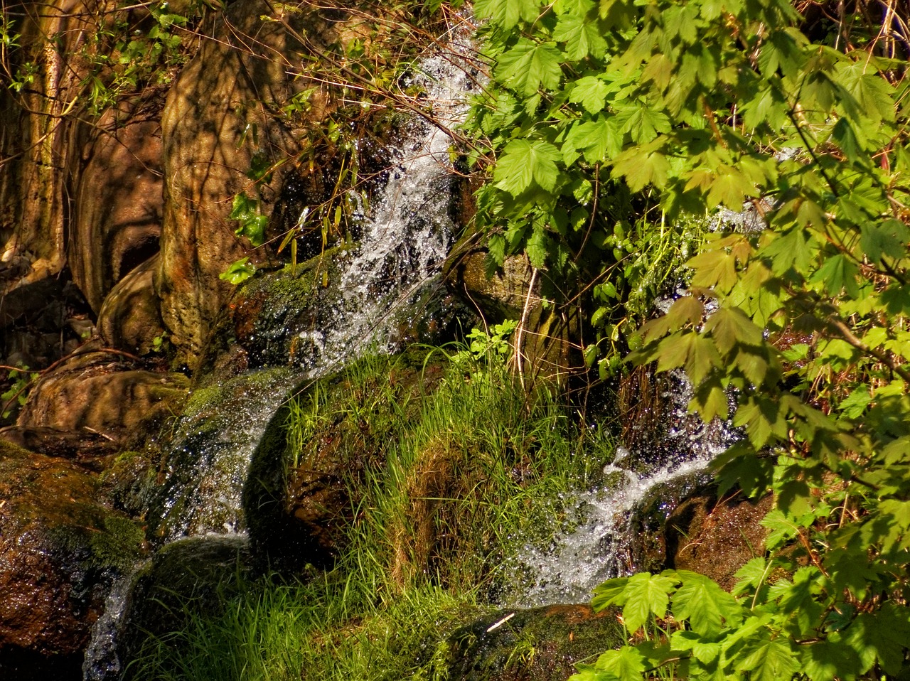 nature jungle small waterfall free photo