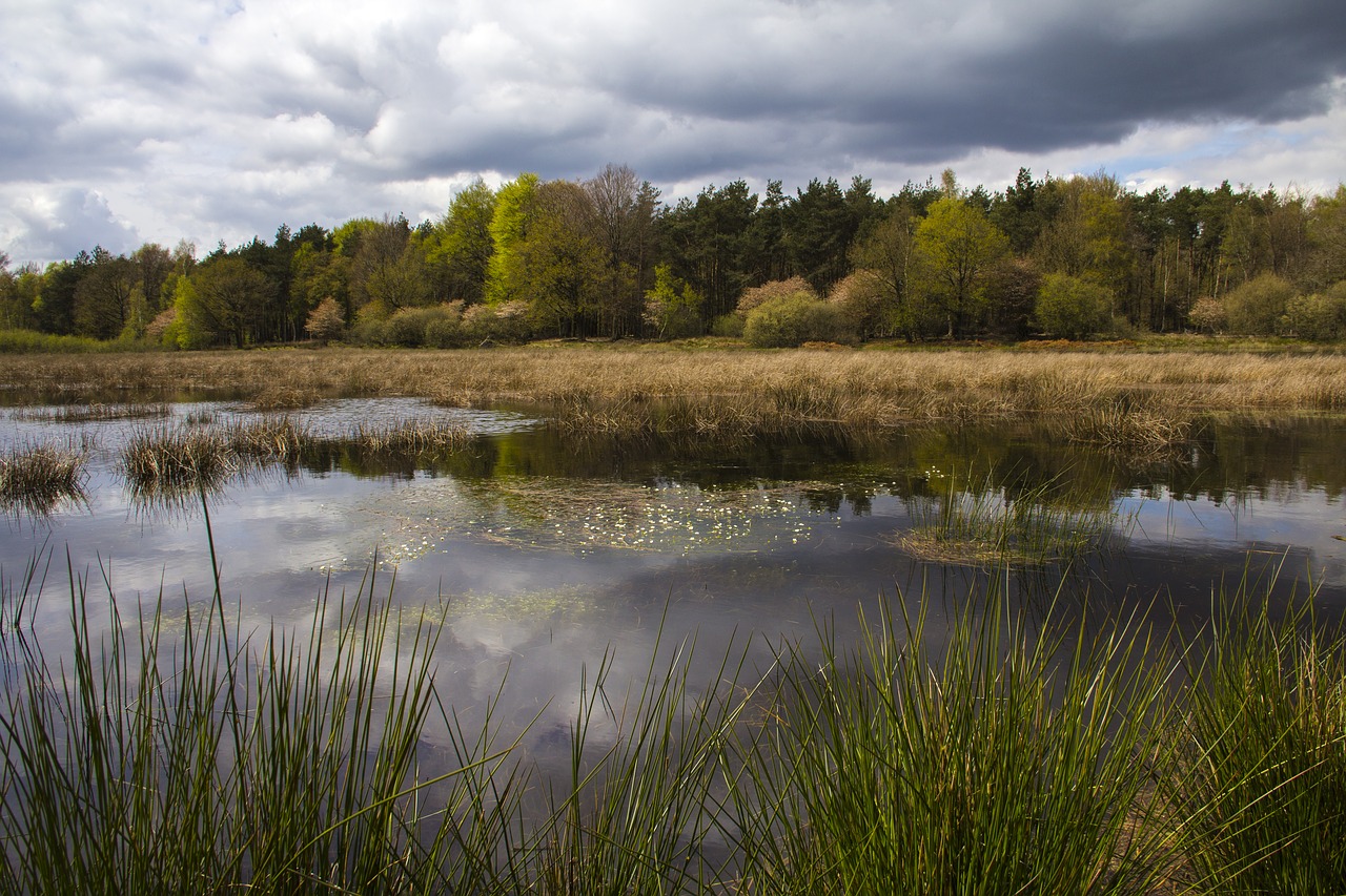 nature landscape countryside free photo