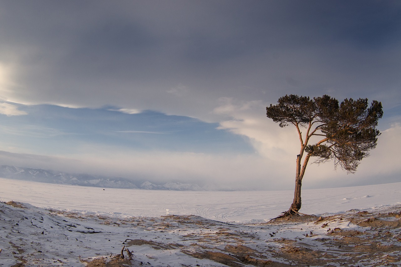 nature winter sky free photo