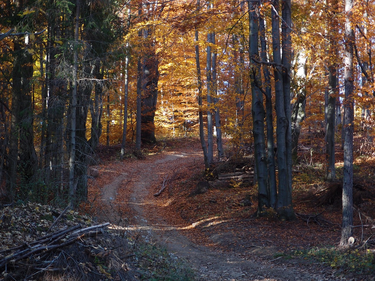 nature mountain color free photo