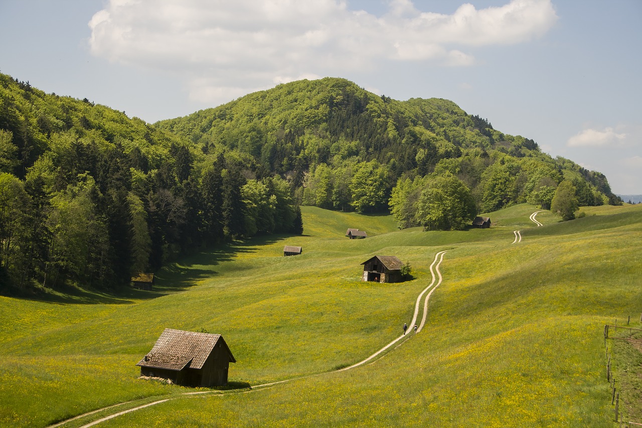 nature hiking switzerland free photo