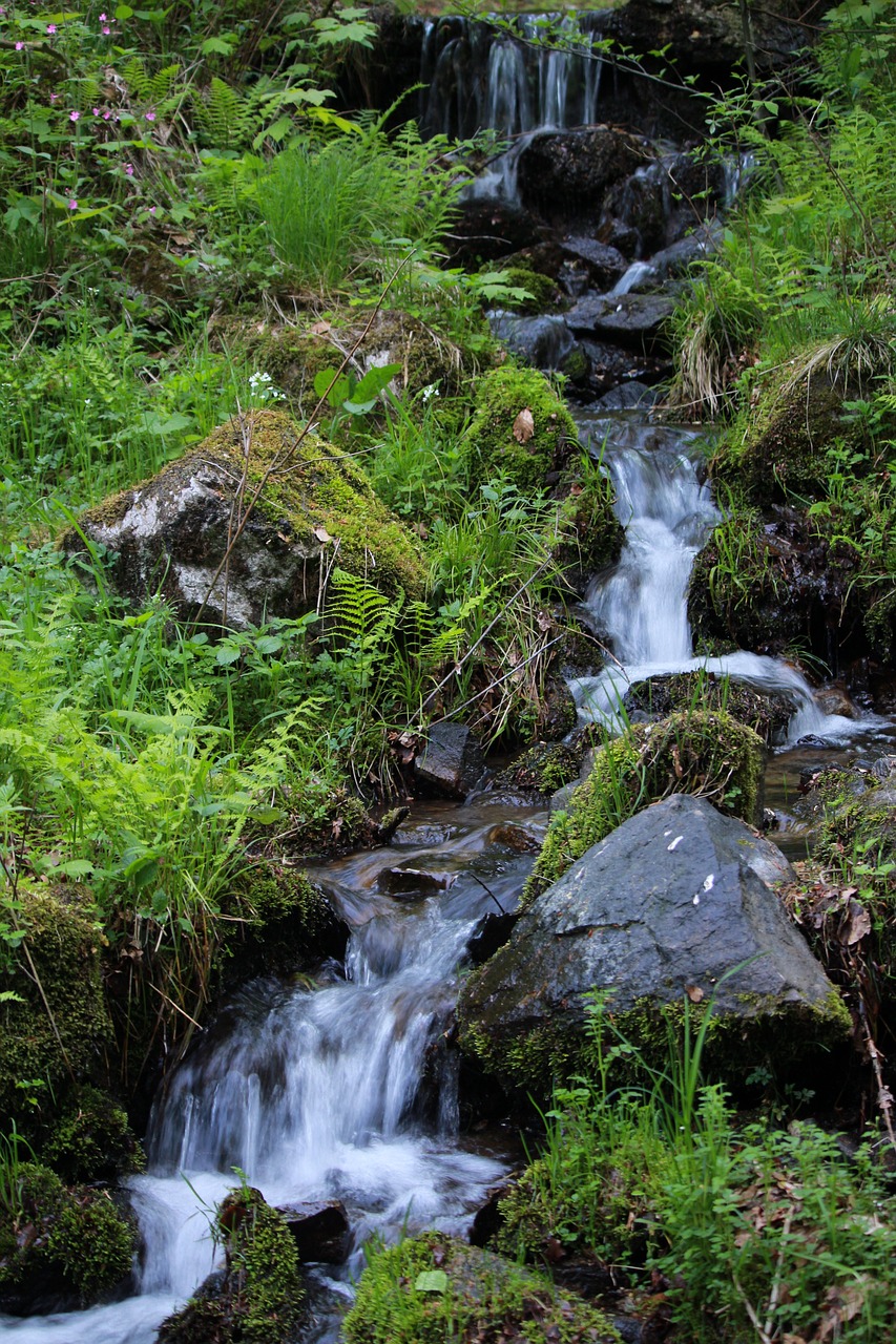 nature waterfall the beauty of nature free photo