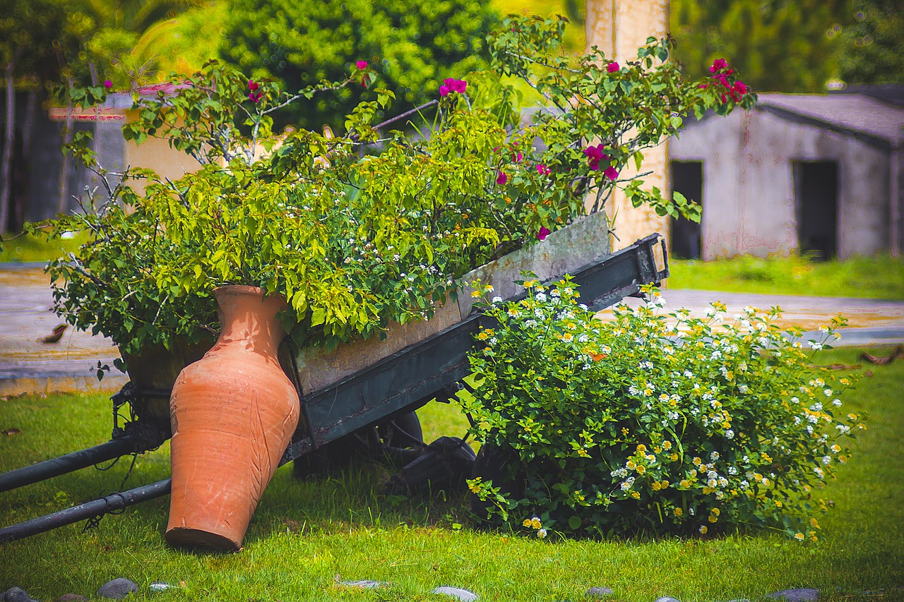 nature flowers cart free photo