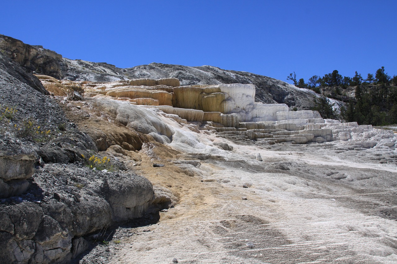 nature yellowstone hot free photo